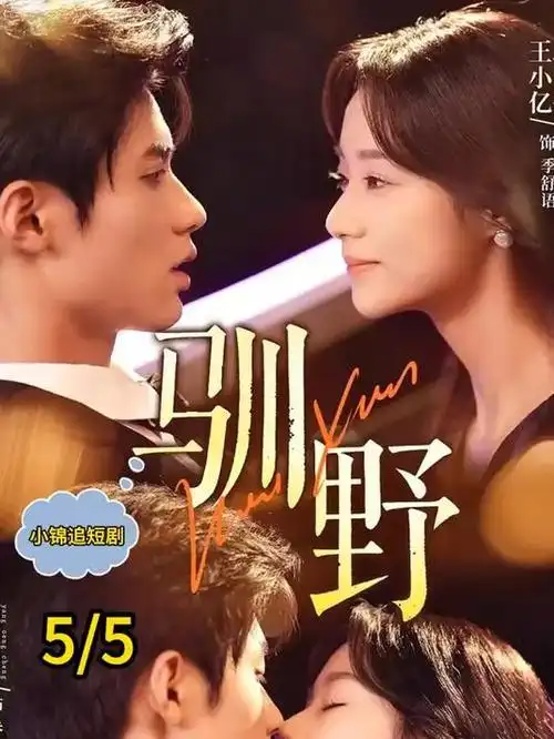 夜色正浓 都市情感剧全集免费观看